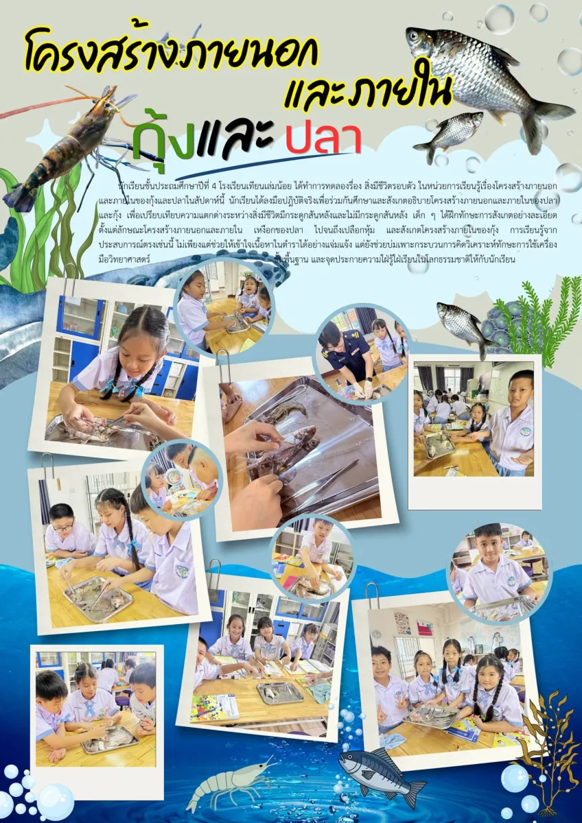 นักเรียนชั้นประถมศึกษาปีที่ 4 ได้ทำการทดลองเรื่องสิ่งมีชีวิตรอบตัว ในหน่วยการเรียนรู้เรื่องโครงสร้างภายนอกและภายในของกุ้งและปลา