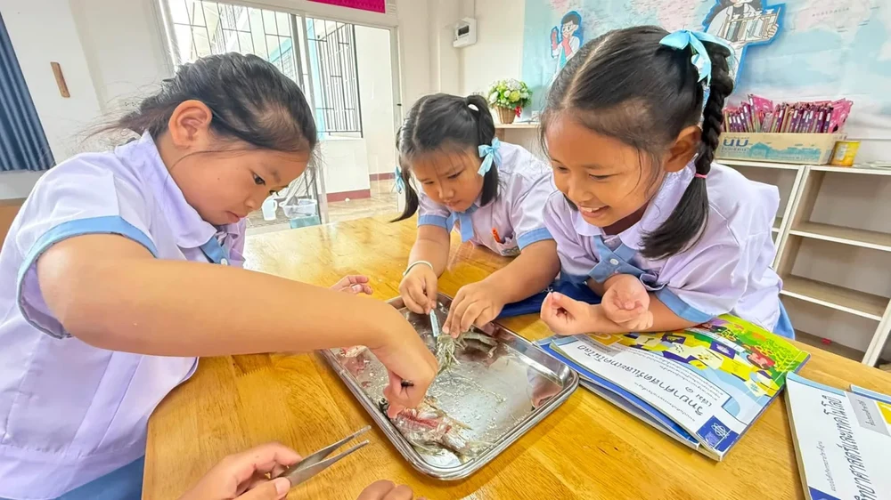 ภาพกิจกรรม 8