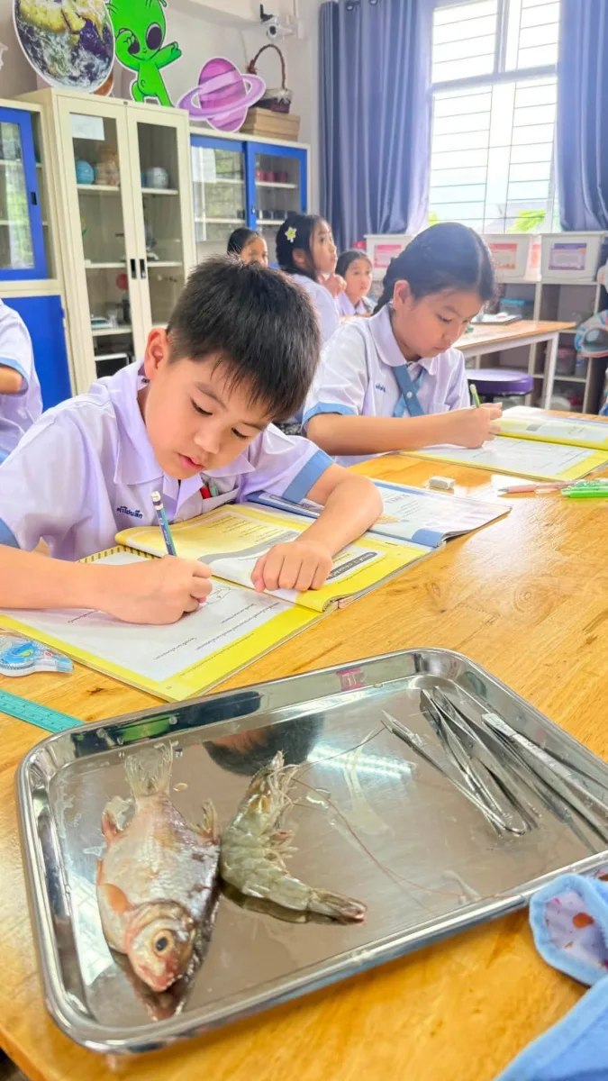 ภาพกิจกรรม 13
